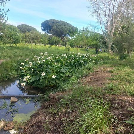 A Casa Di Mori Διαμέρισμα Ρώμη Εξωτερικό φωτογραφία